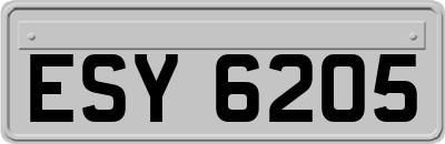 ESY6205