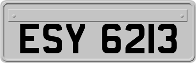 ESY6213