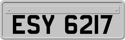 ESY6217