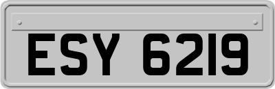 ESY6219
