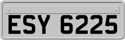 ESY6225