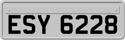 ESY6228