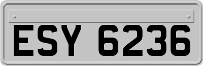 ESY6236