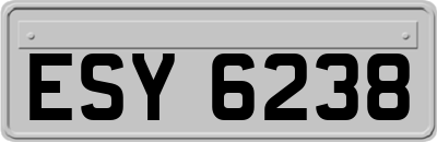 ESY6238