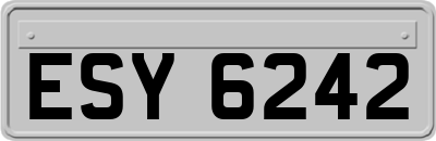 ESY6242