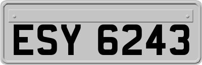 ESY6243