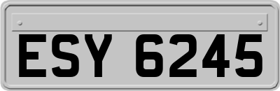 ESY6245
