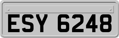 ESY6248