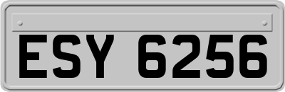 ESY6256