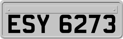 ESY6273