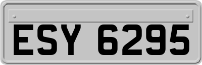 ESY6295