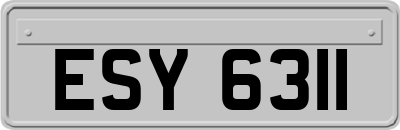 ESY6311