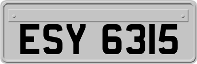 ESY6315