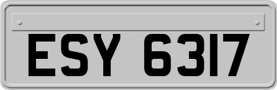 ESY6317