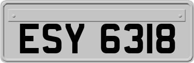 ESY6318