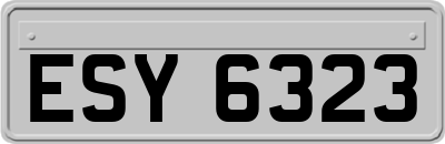ESY6323