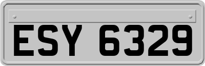 ESY6329