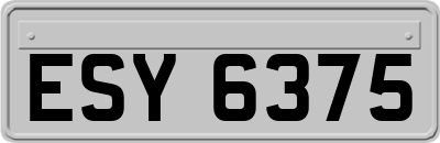 ESY6375