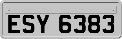 ESY6383