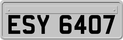 ESY6407