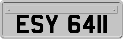 ESY6411