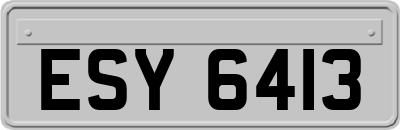 ESY6413