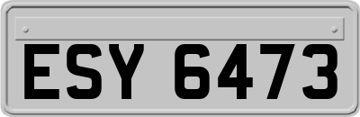 ESY6473