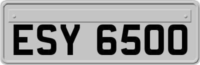 ESY6500