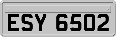 ESY6502
