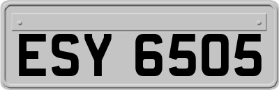 ESY6505