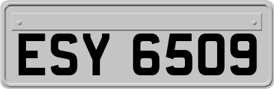ESY6509