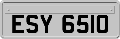 ESY6510