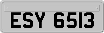 ESY6513