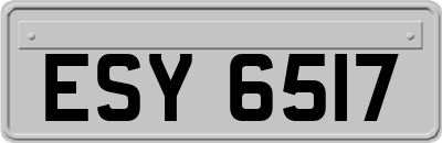 ESY6517