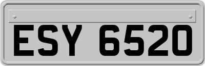 ESY6520