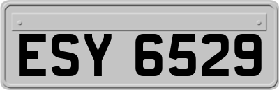 ESY6529