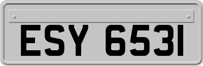 ESY6531