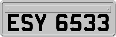 ESY6533