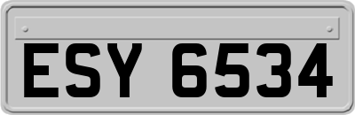 ESY6534