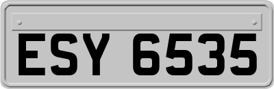 ESY6535