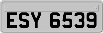 ESY6539