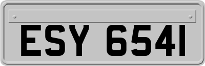 ESY6541