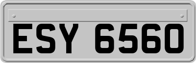 ESY6560