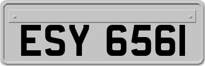 ESY6561