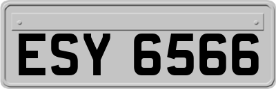 ESY6566