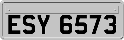 ESY6573