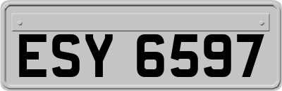 ESY6597