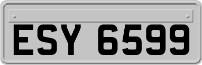 ESY6599