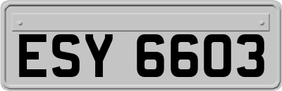 ESY6603