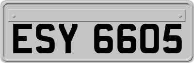 ESY6605